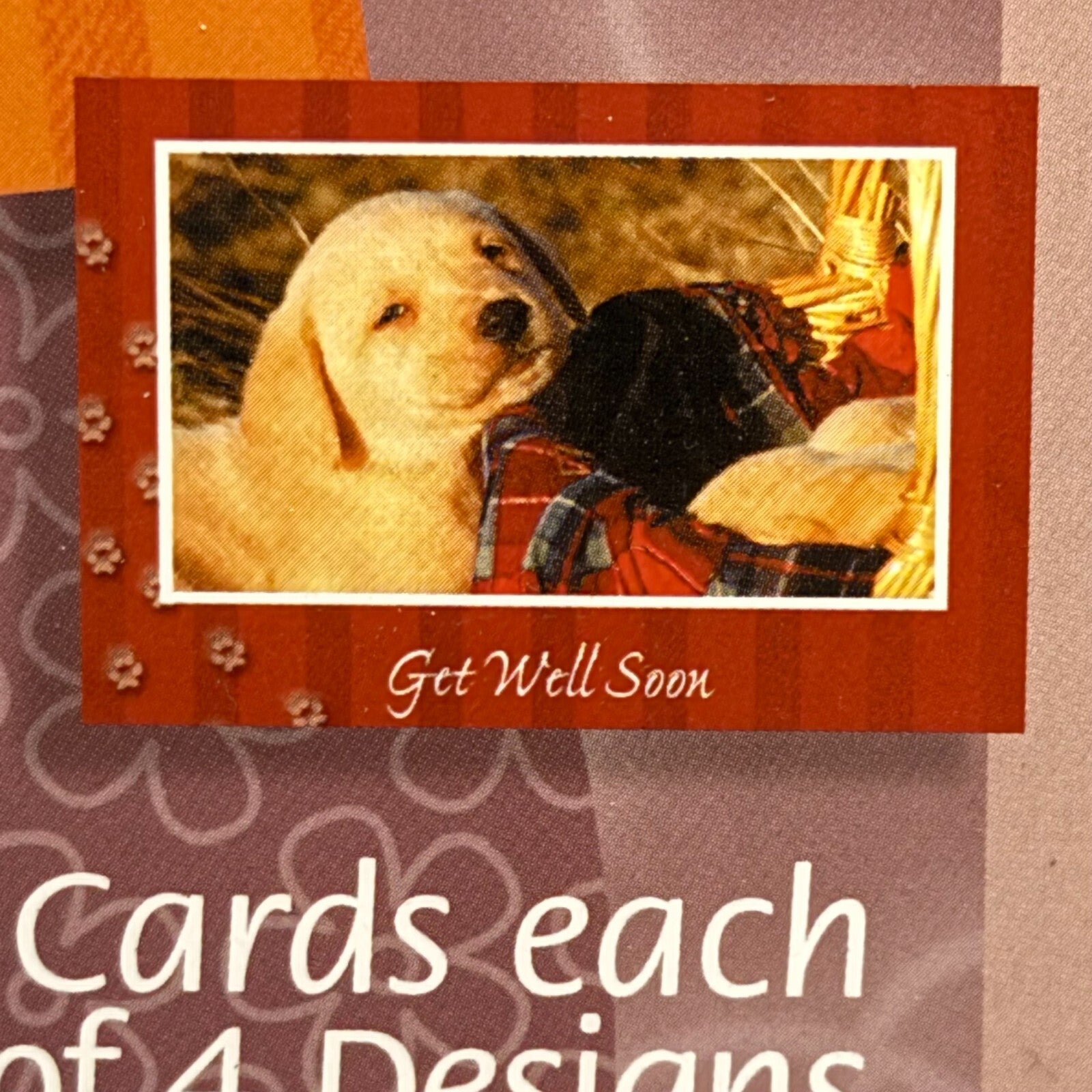 12 Get Well Soon Cards & Envelopes Bible Verse Premium Set Dogs Puppies