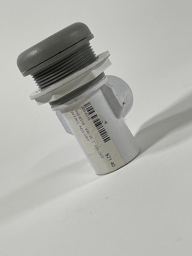 350-6318 Valve 1” On-Off W-fall AES GRY