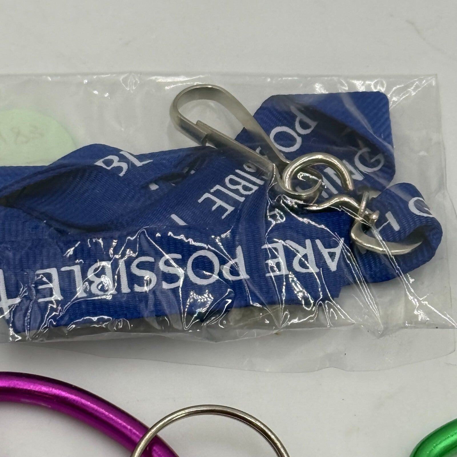 15pc Key Chains Lanyards Fish Shaped Carabiners Pink Purple Green Blue New