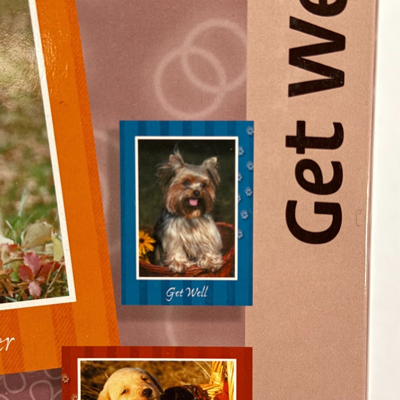 12 Get Well Soon Cards & Envelopes Bible Verse Premium Set Dogs Puppies