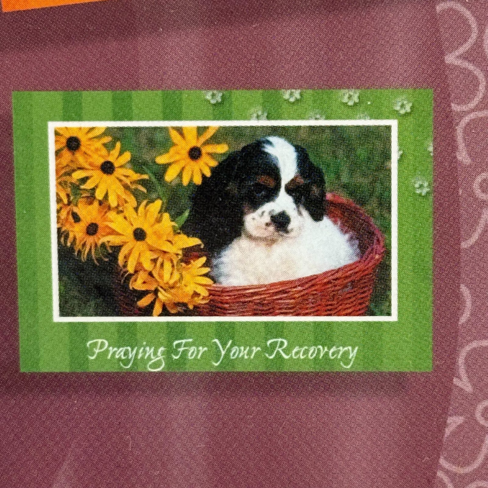 12 Get Well Soon Cards & Envelopes Bible Verse Premium Set Dogs Puppies