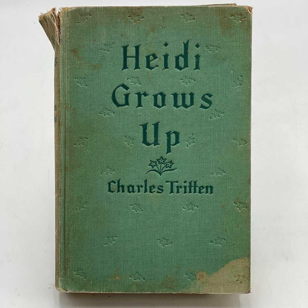 Heidi Grows Up by Charles Tritten Grosset And Dunlap 1938 HARDCOVER BOOK