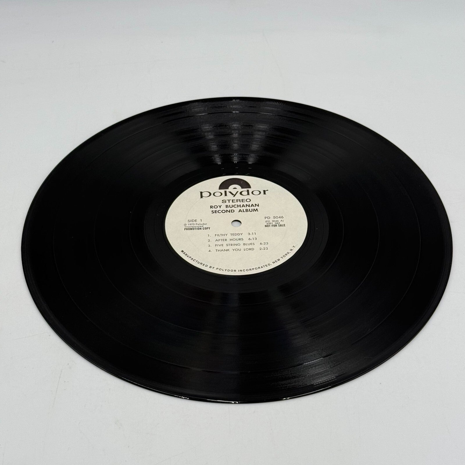 ROY BUCHANAN Second Album Vinyl LP 1973 POLYDOR PD-5046 Rare Promotion Copy
