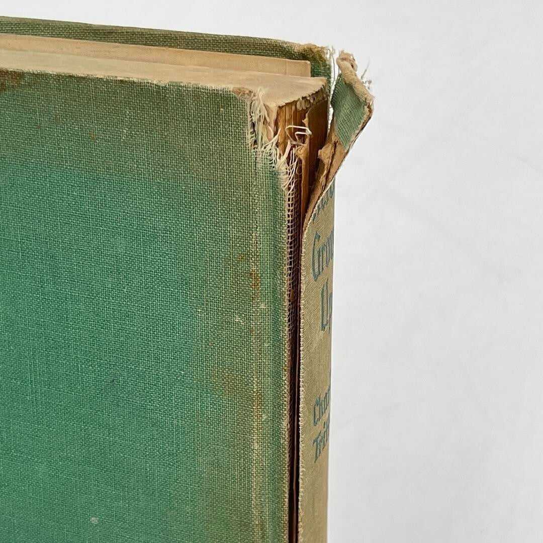 Heidi Grows Up by Charles Tritten Grosset And Dunlap 1938 HARDCOVER BOOK