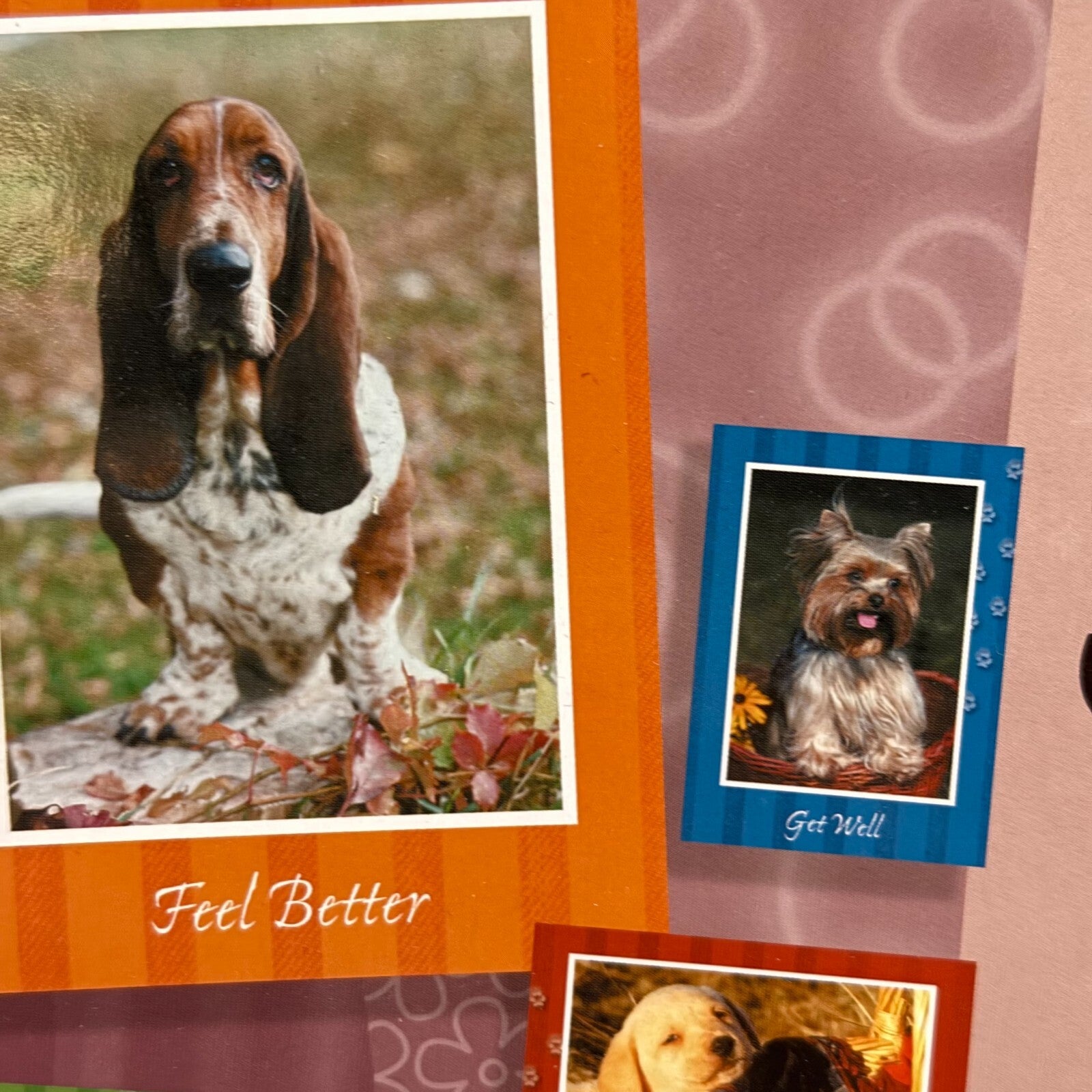 12 Get Well Soon Cards & Envelopes Bible Verse Premium Set Dogs Puppies