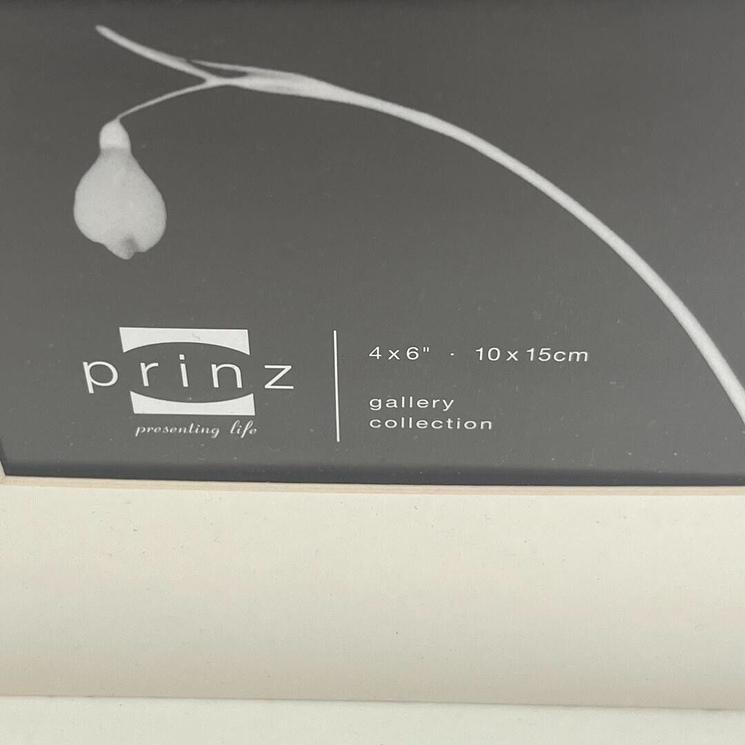 Prinz Shadow Box Glass Picture Frame Holds 4 4x6 Prints Black Wood New 17x17x2