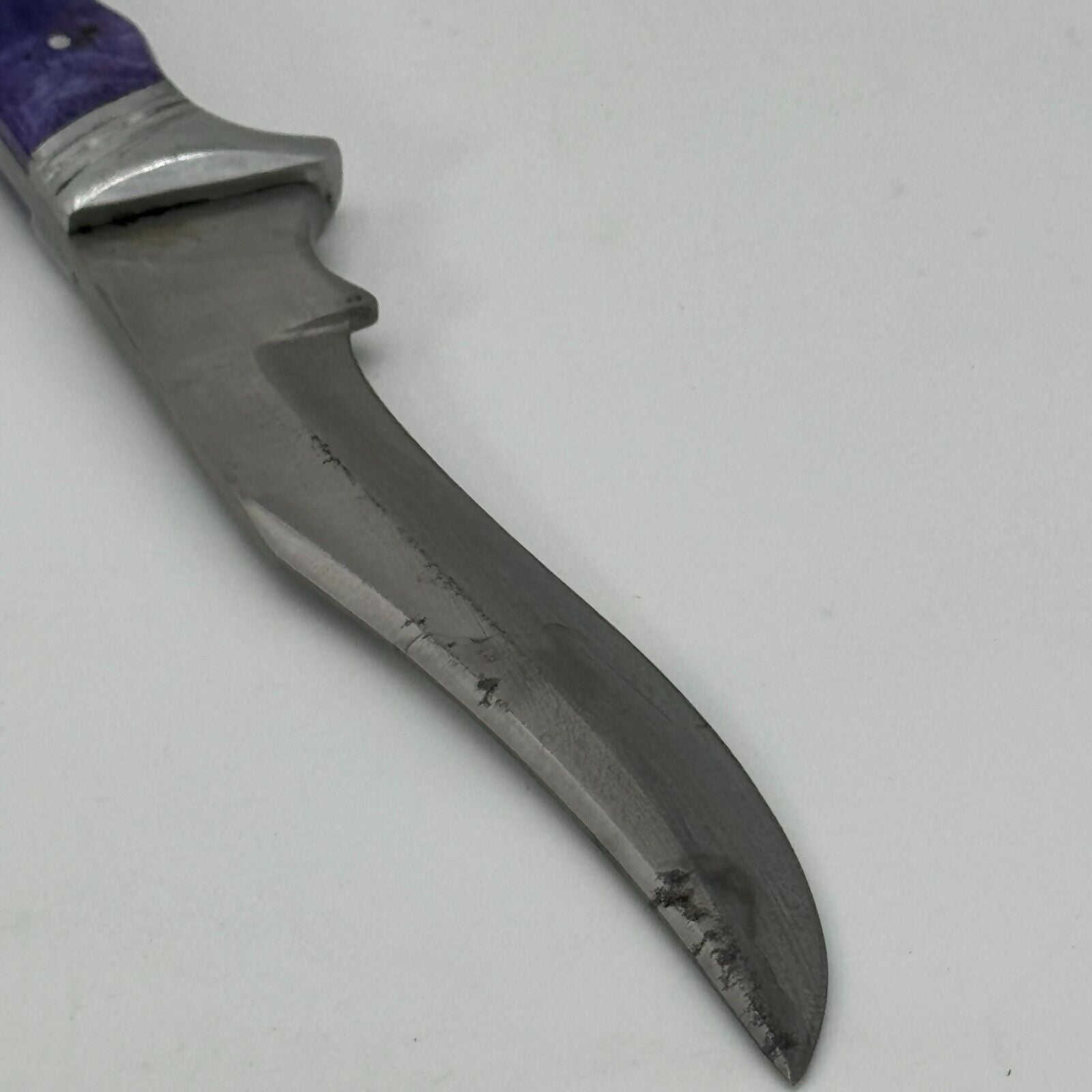 Pakistan Stainless Steel 6in Curved Fixed Blade Hunting Knike Eagle Carved Blue