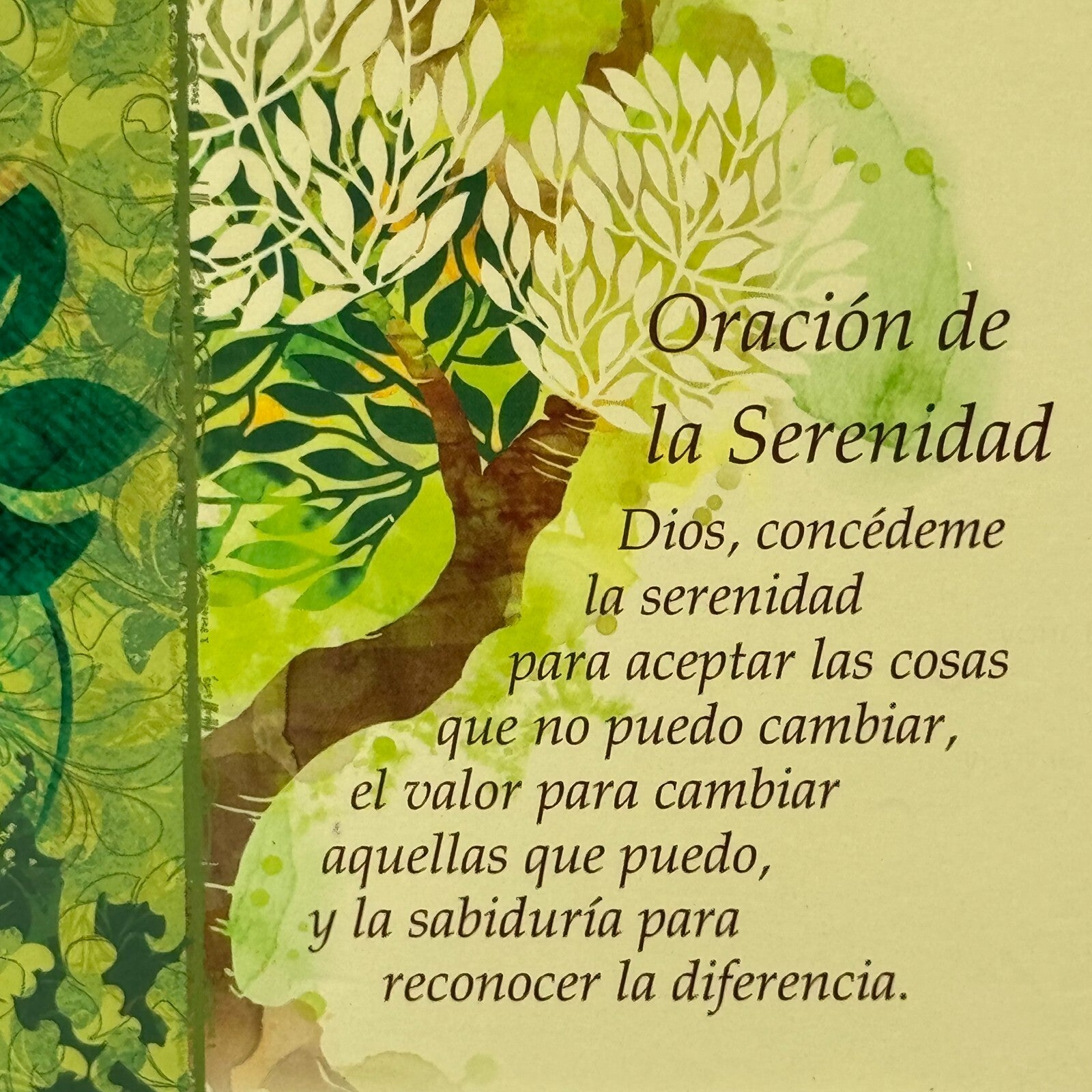Christian Art Gifts 5x7 Spanish Notepad Journal Notebook Blank Notes Trees New