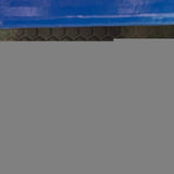 CarQuest #YH145557P Painted Brake Rotor