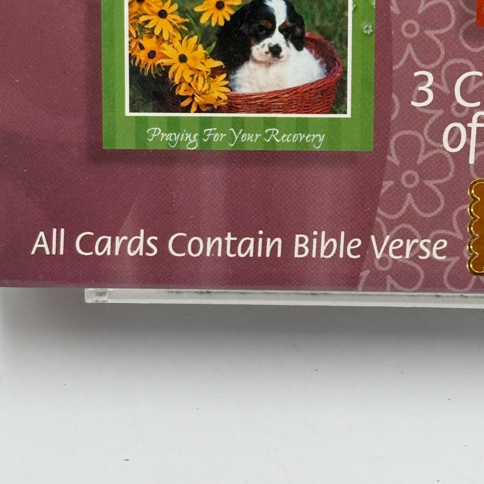 12 Get Well Soon Cards & Envelopes Bible Verse Premium Set Dogs Puppies