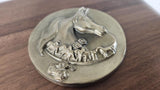 Beautiful Walnut Plaque 18x10 - 2001 Yth Ntnl. Championship Horse Show Arabian