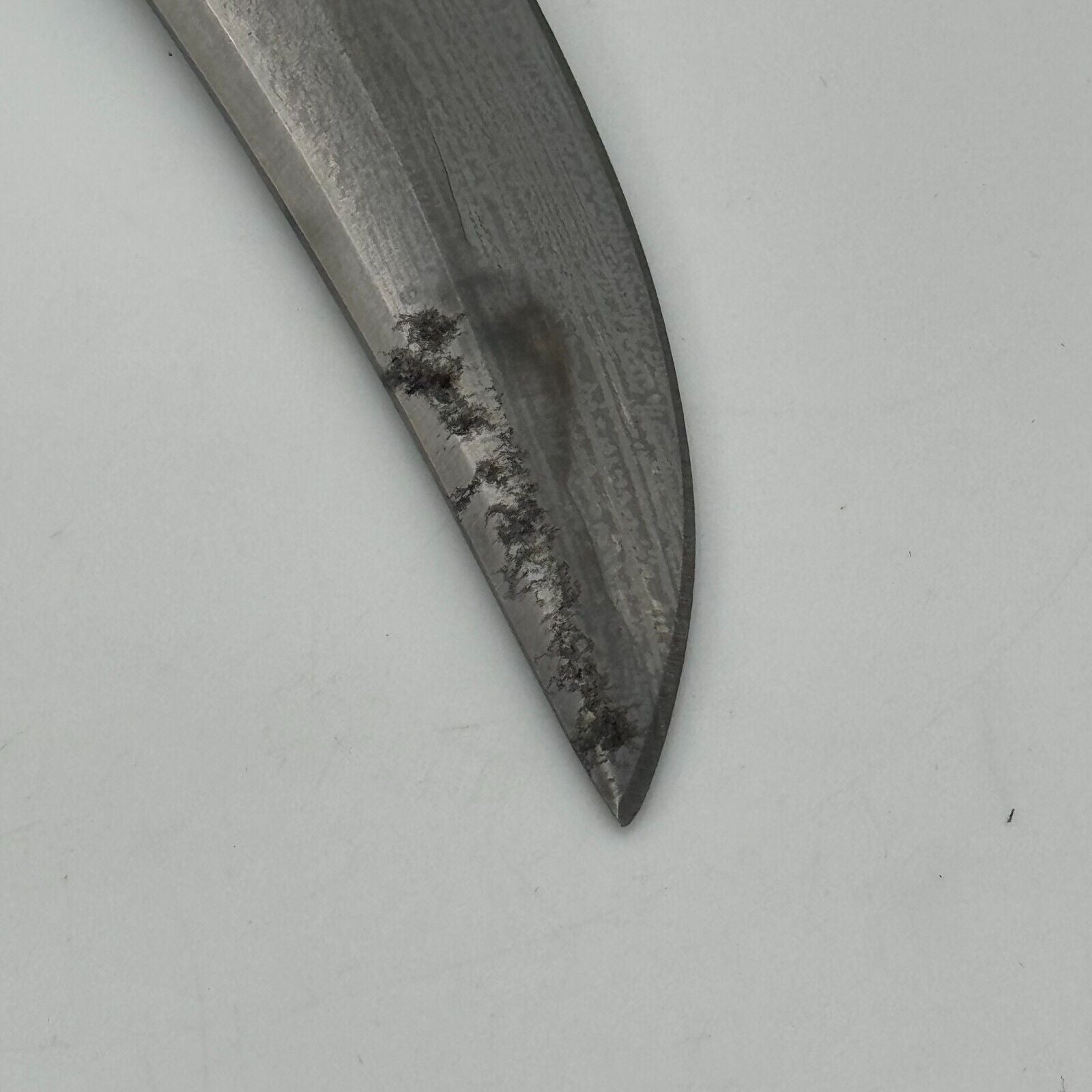 Pakistan Stainless Steel 6in Curved Fixed Blade Hunting Knike Eagle Carved Blue