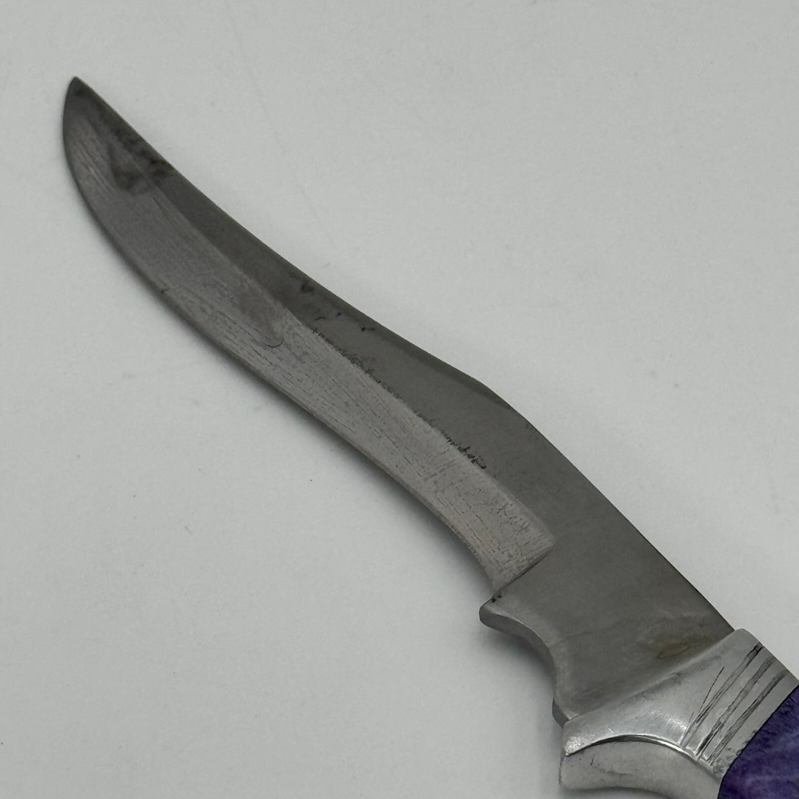 Pakistan Stainless Steel 6in Curved Fixed Blade Hunting Knike Eagle Carved Blue