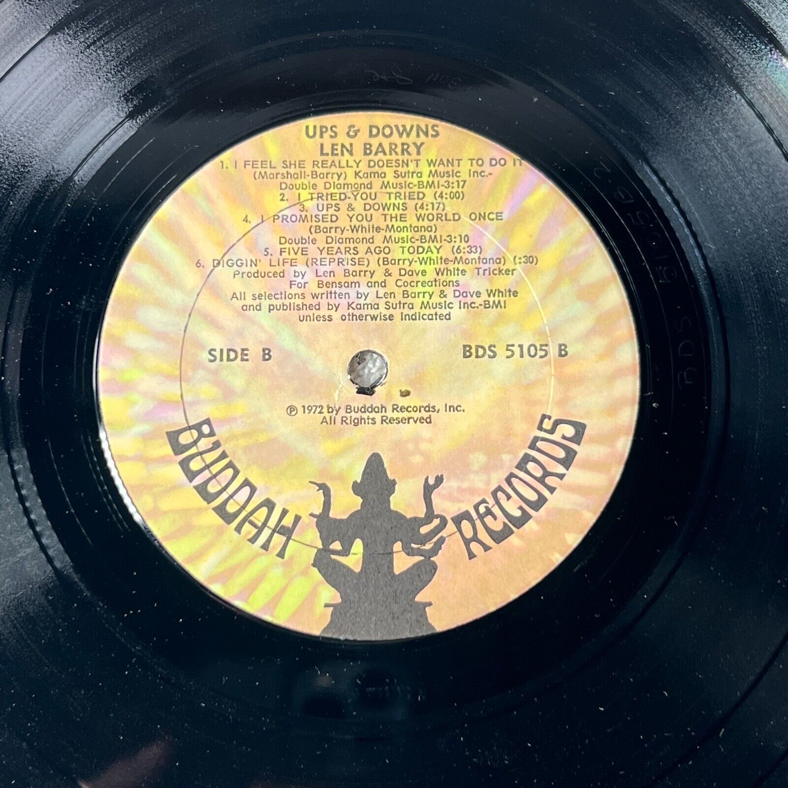 Len Barry – Ups And Downs Vinyl LP US 1972 Buddah Records – BDS 5105 POP MUSIC