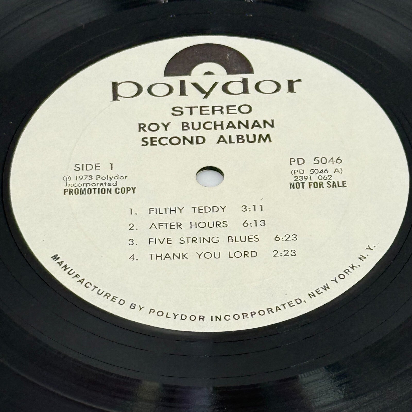 ROY BUCHANAN Second Album Vinyl LP 1973 POLYDOR PD-5046 Rare Promotion Copy