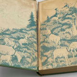 Heidi Grows Up by Charles Tritten Grosset And Dunlap 1938 HARDCOVER BOOK